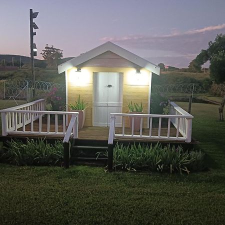 Little Tree Loft 2 Bed & Breakfast Uitenhage Exterior photo