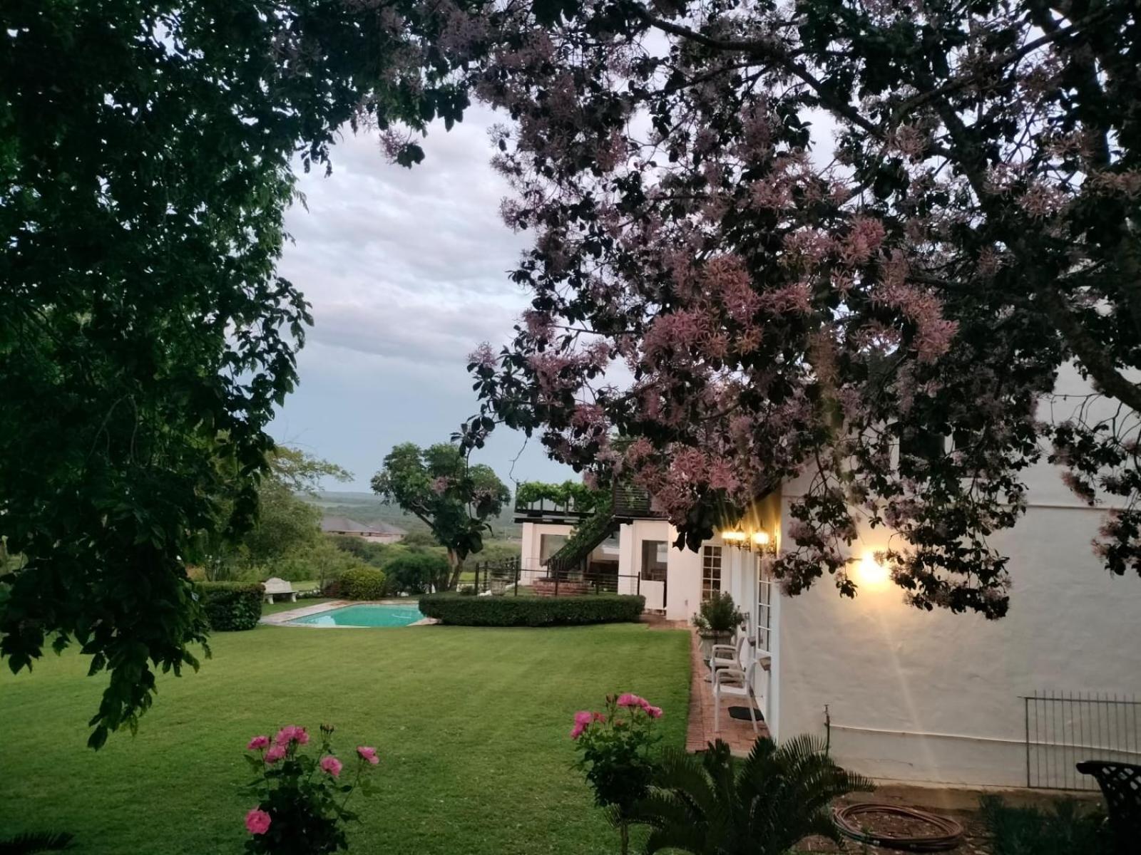 Little Tree Loft 2 Bed & Breakfast Uitenhage Exterior photo
