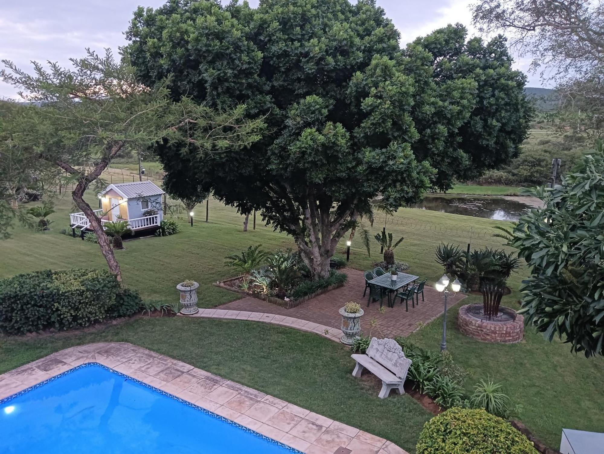 Little Tree Loft 2 Bed & Breakfast Uitenhage Exterior photo